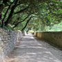 Eremo delle carceri