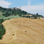 Pienza