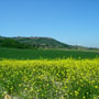 orcia panoramic view