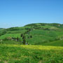 san quirico toscana private tour