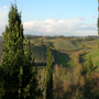 San miniato