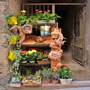 Volterra