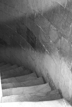 ピサの斜塔階段