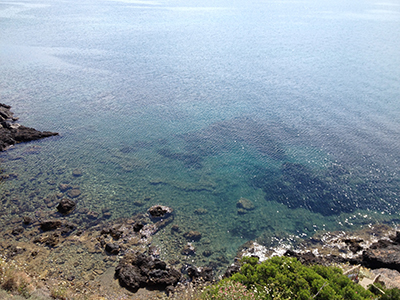 青い海の煌めき