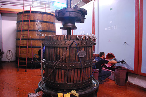 発酵タンク