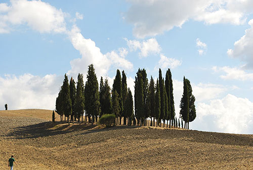 2月21日以降の発送となります はり たつお オルチャ渓谷、収穫の季節(大全紙)(C1084) 2月21日以降の発送となります はり たつお オルチャ渓谷、収穫の季節(