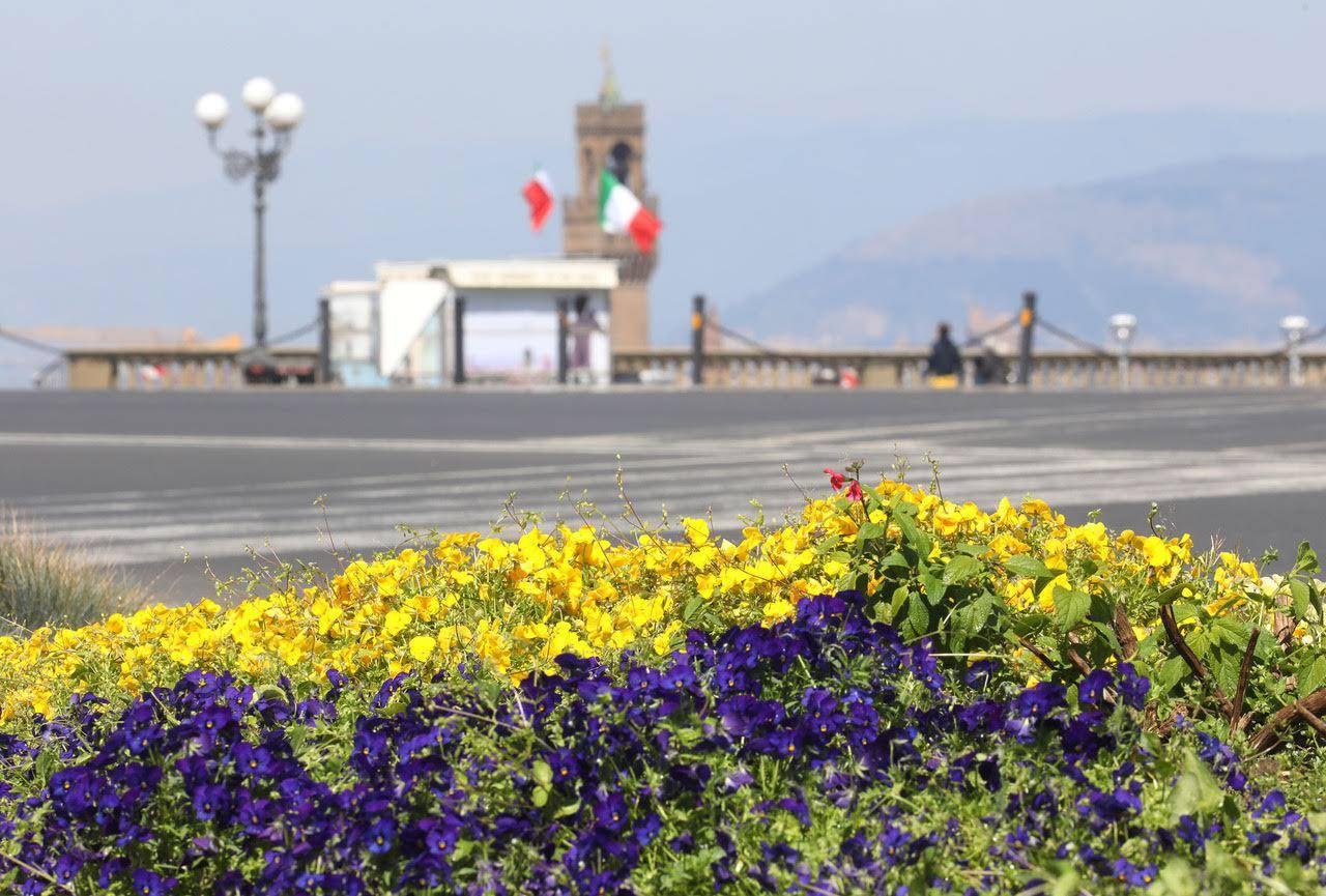 フィレンツェの花壇・ミケランジェロ広場