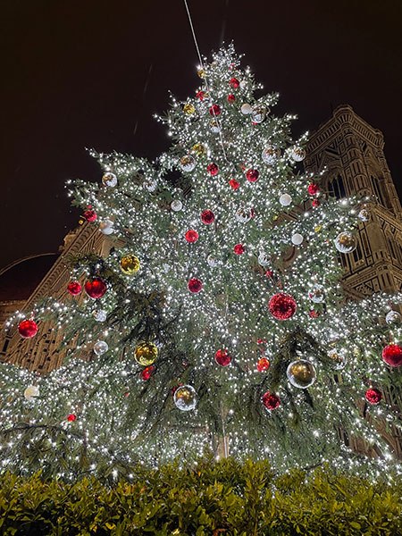 フィレンツェのクリスマスツリー
