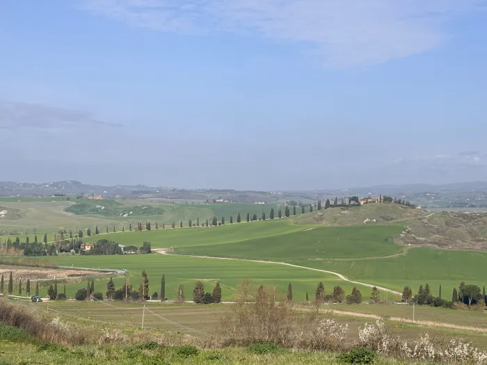 クレテ・セネージの糸杉の並木