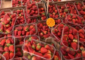 シチリア旅行カターニアの市場のイチゴ